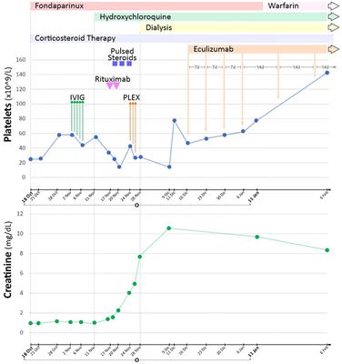 Case report: Timing of eculizumab treatment in catastrophic antiphospholipid syndrome